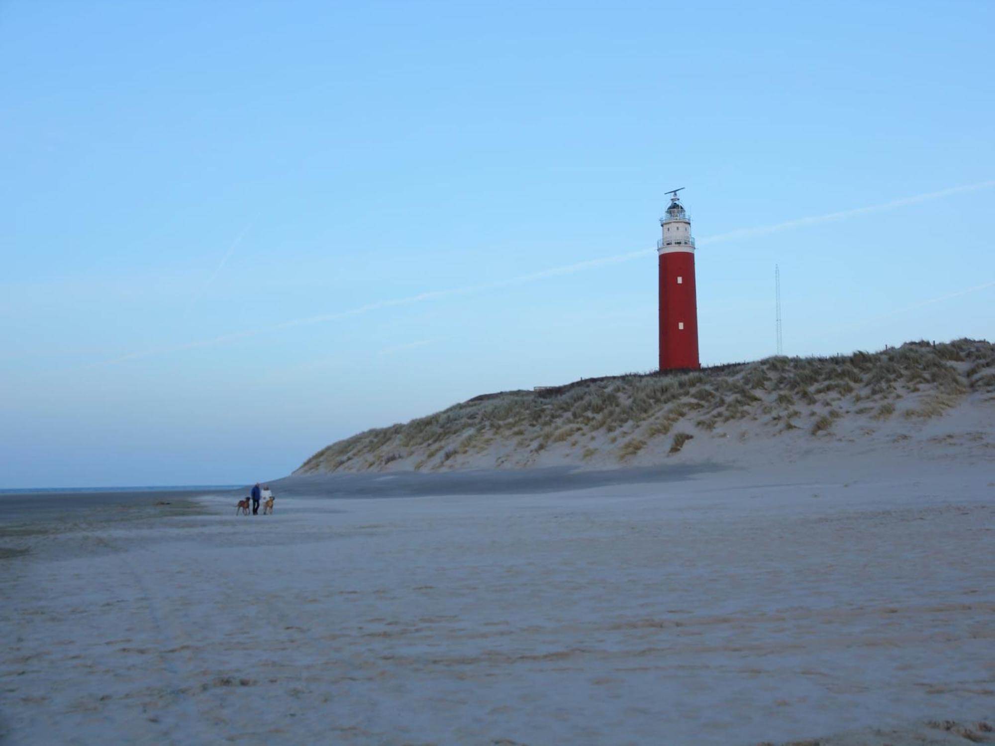 Great Holiday Home Energy Neutral On Texel With Sauna And Sun Shower Westermient Luaran gambar